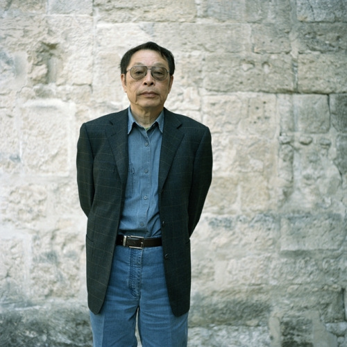 http://lucile-chombartdelauwe.com/files/gimgs/24_chinois.jpg